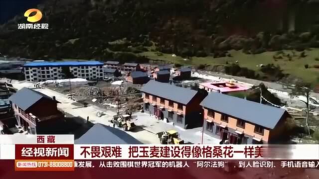 西藏:不畏艰难,把玉麦建设得像格桑花一样美丽