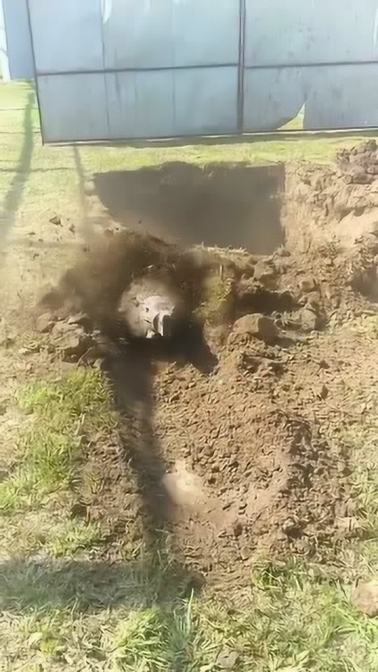 Thumbplayer Poster Plugin Image