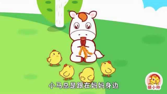 《猫小帅故事》小马过河的故事