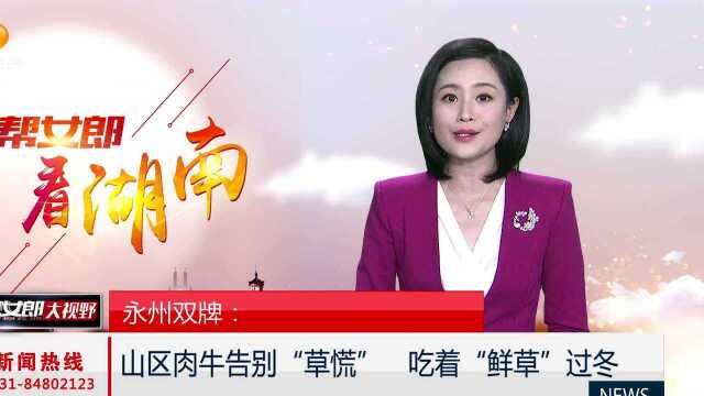 永州双牌:山区肉牛告别“草慌”