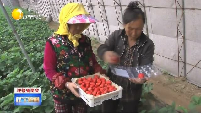 辽宁:重视乡村振兴战略实施情况,关注各项民生领域短板问题