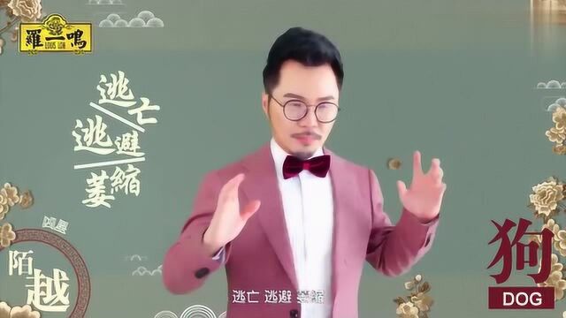 罗一鸣老师详解,2019年生肖狗的