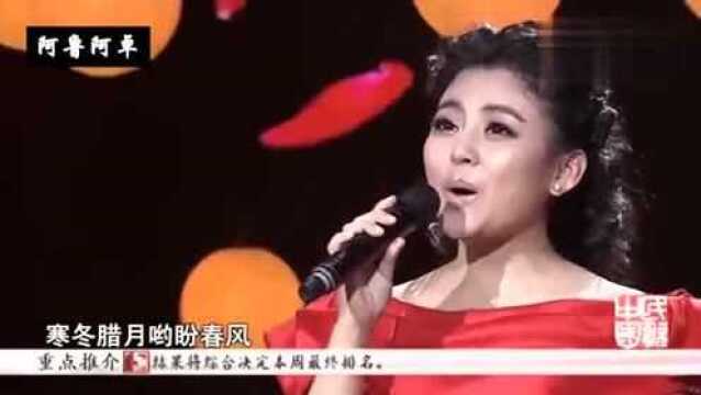 经典红歌《映山红》阿鲁阿卓演唱,震撼心灵!