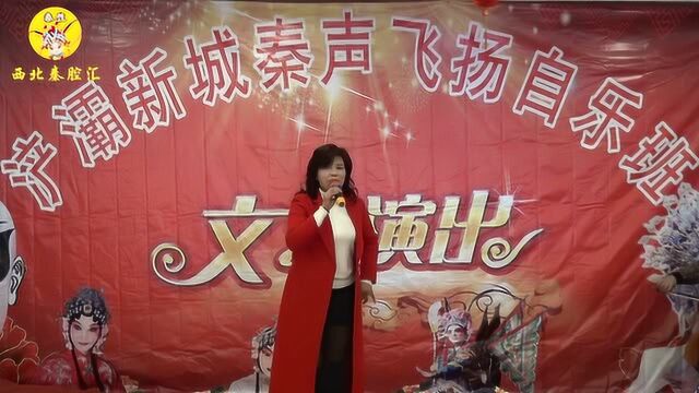 浐灞新城秦声飞扬自乐班《斩秦英》选段代先宁