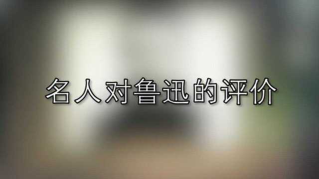 名人对鲁迅的评价是如何的?