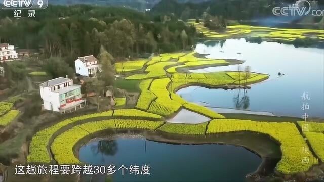 航拍中国第一季:每年三月是汉中油菜花最繁盛的季节