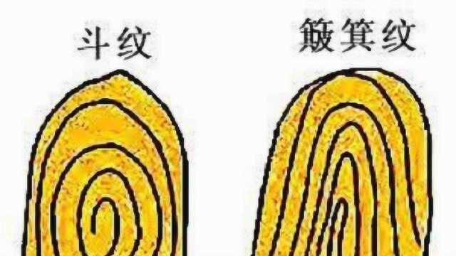 手斗纹是这几个数量的,注定一生大富大贵!看看是不是你