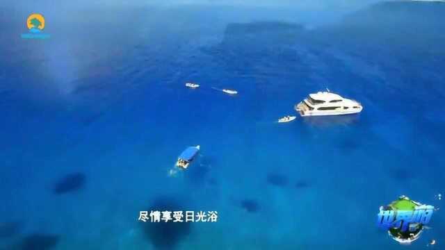 斐济旅游攻略推荐,让你的假期物超所值!