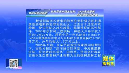 专栏：媒体看黔西