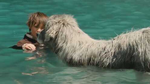男孩偶遇一只满身污垢，被当成野兽的狗，带它洗完后颜值大变样