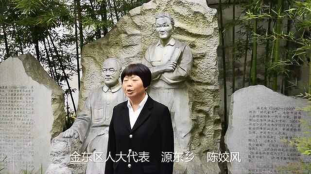 区人大代表“金东人文精神”大讨论2源东乡陈姣风