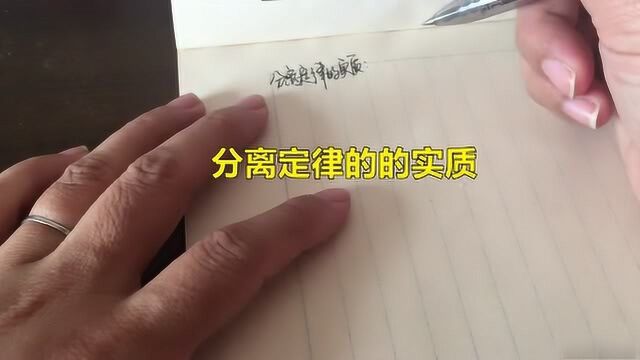 分离定律的实质是什么