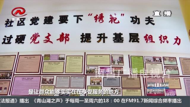 打造精品党建阵地 擦亮青山湖党建品牌