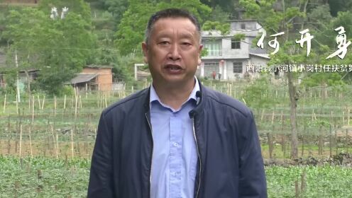 重庆市酉阳县小岗村第一书记何开勇