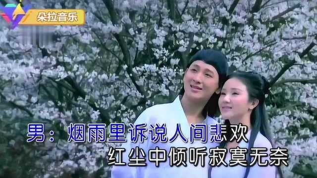 一曲《烟雨红尘泪》长相思,与心眠,几回落花,几回泪!