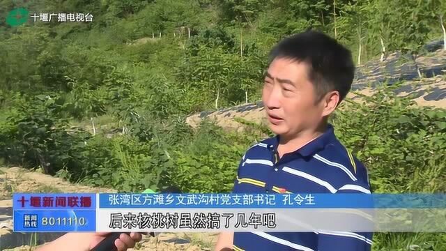 张湾区:抓党建促脱贫“咱村带头人”孔令生能人回乡趟富路