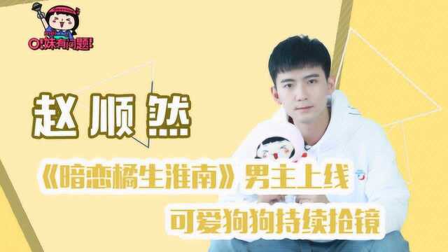 赵顺然:《暗恋橘生淮南》男主上线,可爱狗狗持续抢镜