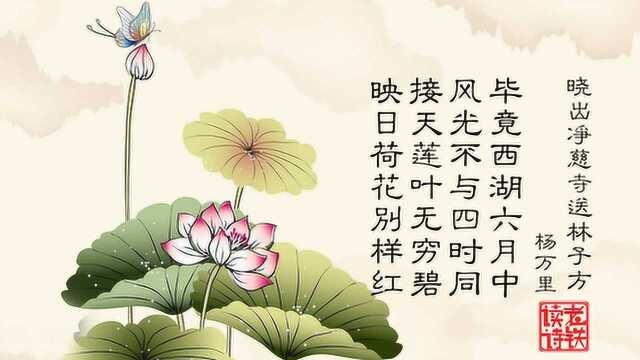 杨万里《晓出净慈寺送林子方》描写六月西湖迥异于平时的绮丽景色