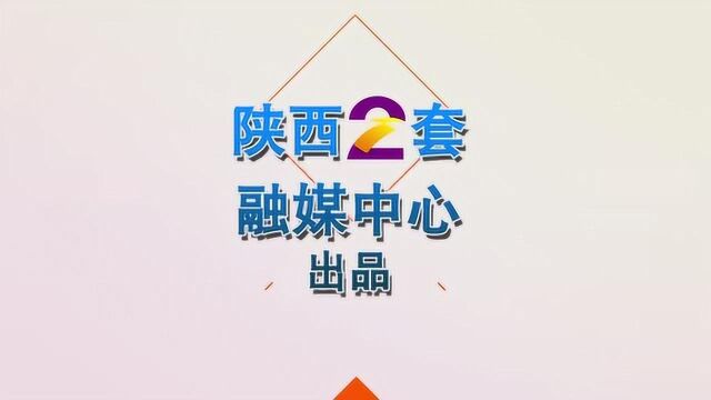 总投资80亿 丝路国际电影城7月9日开建