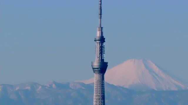 惊奇工程—东京晴空塔这座世界最高塔,竟只用了4年就建好