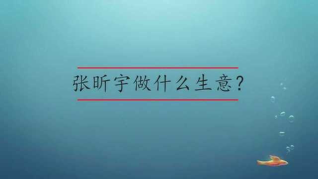 张昕宇做什么生意?