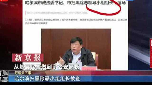 哈尔滨扫黑除恶小组组长被查1