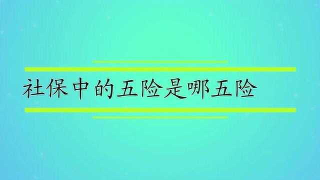 社保中的五险是哪五险