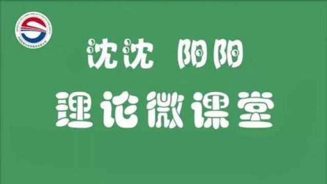 沈沈阳阳理论微课堂第13期