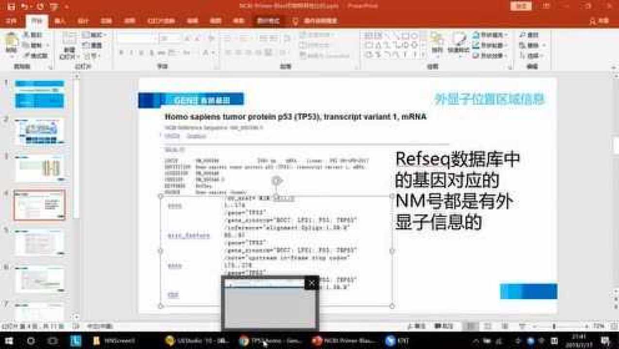 NCBI PrimerBlast引物特异性比对（一）_腾讯视频