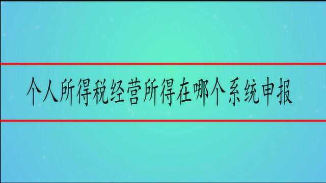 个人所得税经营所得在哪个系统申报