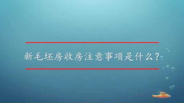 新毛坯房收房注意事项是什么?