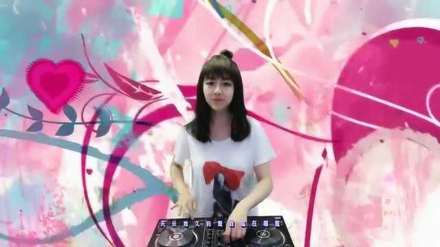 李纲真爱秘籍DJ何鹏版