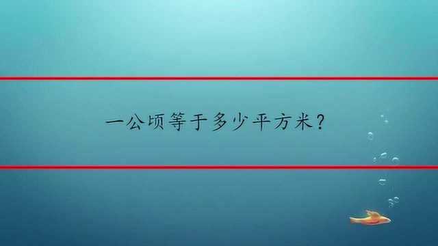 一公顷等于多少平方米?