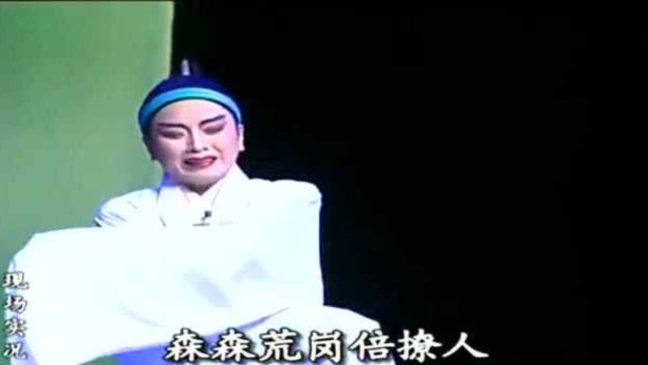 林武燕林燕云唱潮剧阴阳泪