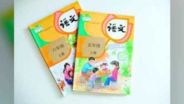 新学期使用统编版新教材后,小学语文怎么学?有你想不到的变化