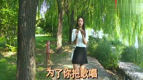 Thumbplayer Poster Plugin Image