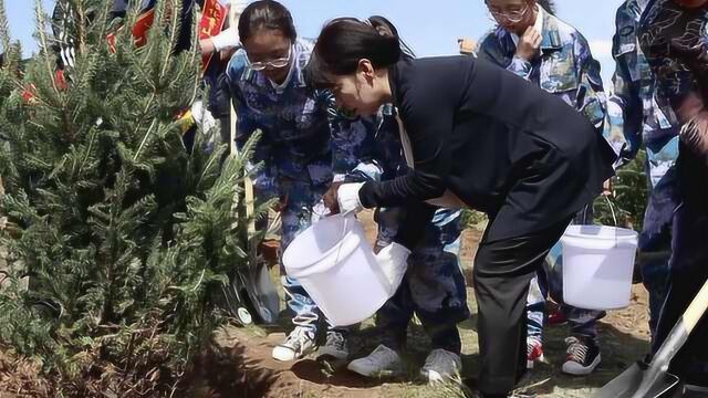 呼和浩特首位女市委书记:鼓励年轻人以种树作为节日纪念