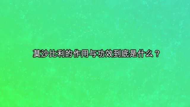 莫沙比利的作用与功效到底是什么?