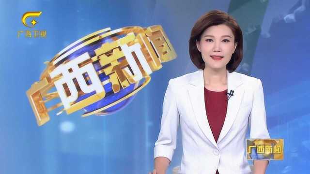 2019年泛珠三角区域合作行政首长联席会议在南宁召开