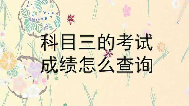 科目三的考试成绩怎么查询?