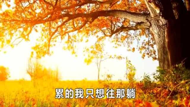 迟志强一首歌曲《打工十二月》超好听,值得收藏