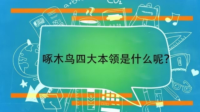 啄木鸟四大本领是什么呢?