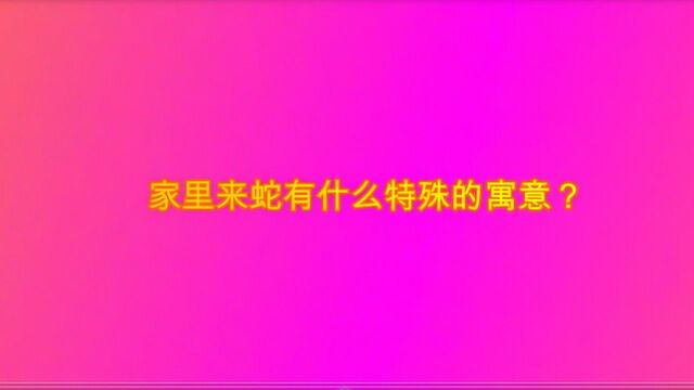 家里来蛇有什么特殊的寓意?