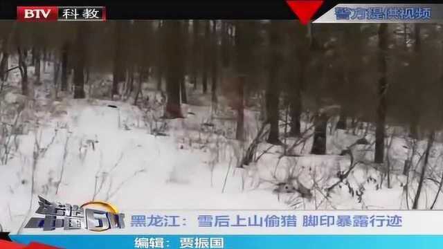 黑龙江:雪后上山偷猎 脚印暴露行踪