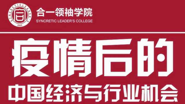 疫情后的中国经济与行业机会 (六)合一领袖网络大学线上公益课