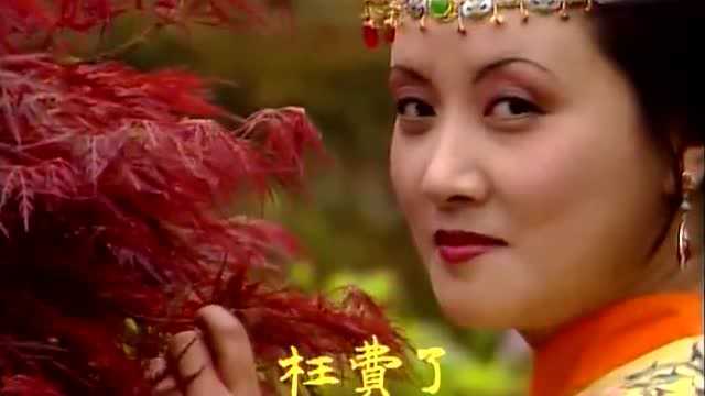 红楼梦经典歌曲《聪明累》机关算尽太聪明反算了卿卿性命