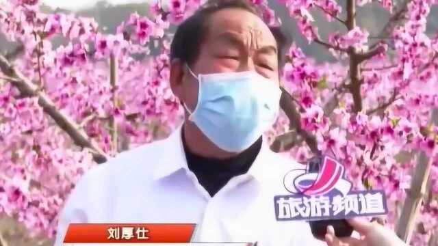 安义:缤纷花海为农旅融合添色彩