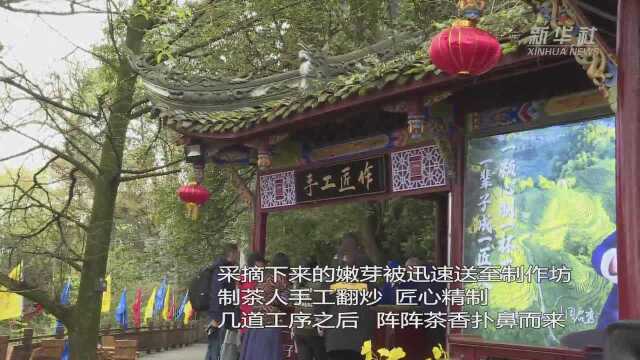 四川蒙顶山再现千年皇茶采制大典