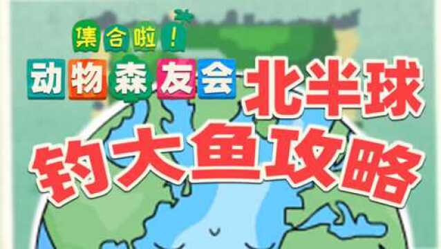 【动物森友会】北半球钓大鱼攻略,一口气打败翻车鱼吧