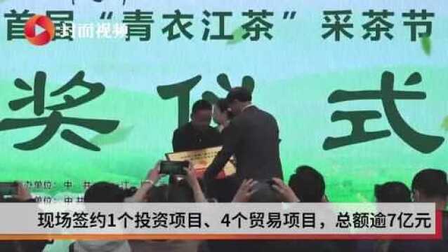 生活重启丨“青衣江茶”为媒 四川夹江茶业签约逾7亿元